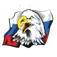 Наклейка "ОРЁЛ" №2-флаг"12х15,5 см голография
